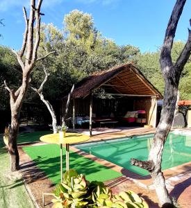 马翁The Tshilli Farm & Lodge的庭院中带游泳池的房子