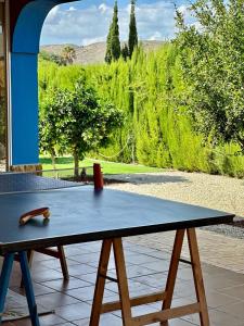 阿利坎特Villa MS的乒乓球桌,享有花园景色