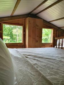 Vieux Grand PortLe Chalet, Eco Farm Stay的一张大床,位于带两个窗户的房间