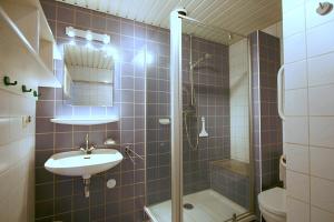栋堡Residence de L'Europe - Baddomburg的一间带水槽、淋浴和卫生间的浴室
