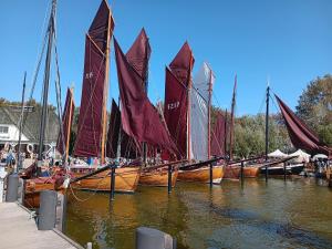 阿伦斯霍普Fewo Muschel incl Kurkarte Parkplatz und strandnah的一群在水中装满红色帆的船