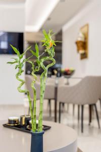 莫奈姆瓦夏Vivian's Luxury Suite的蓝色花瓶,桌子上放着植物