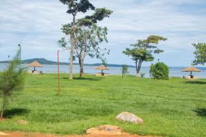 金贾Buvuma Island Beach Hotel的草林和水体的田野