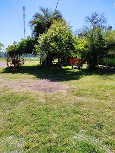 米纳斯Posada Esperanza的草地上种有树木和长凳的田野