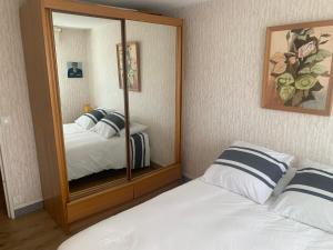 比亚里茨Appartement proche plage的配有镜子的客房内的两张床