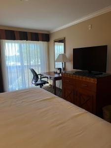 莫雷诺谷Hotel Xola的酒店客房配有一张床和一张书桌及一台电视