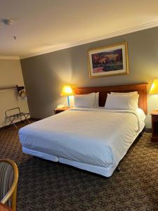 莫雷诺谷Hotel Xola的一张大床,位于酒店带两盏灯的房间