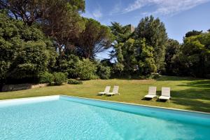 罗马Torre delle Cornacchie的一个带2把躺椅和庭院的游泳池