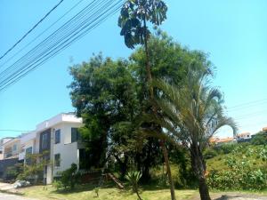沃尔塔雷东达Pousada Flor de Lis Homestay的一座建筑前的棕榈树
