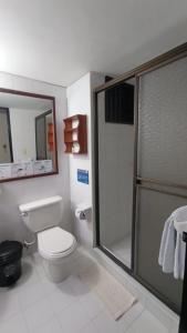 SilviaHotel Silvia by Destino Pacifico的浴室设有卫生间和带镜子的淋浴
