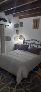 圣巴托洛梅Rural Suite Santiago de Tunte的卧室配有一张带紫色枕头的大型白色床。
