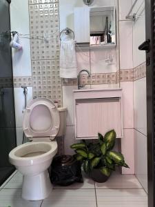 伊瓜苏港Reflejos de Luna Llena的一间带卫生间和植物的浴室