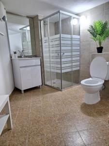 阿拉德Dekel的一间带卫生间和玻璃淋浴间的浴室