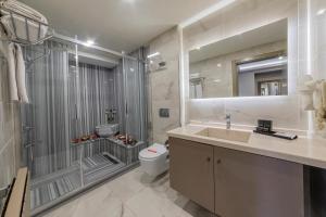 伊斯坦布尔Ayramin Deluxe Hotel Taksim的带淋浴、盥洗盆和卫生间的浴室