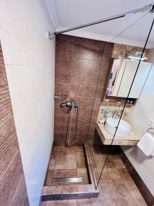锡米Kleanthi and Kostas Studios的带淋浴和盥洗盆的浴室