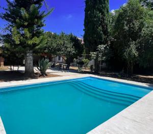 瓦哈卡市Villa Santa Julia的一座绿树成荫的庭院中的蓝色游泳池