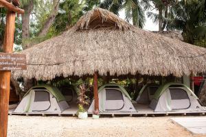 奥尔沃克斯岛Mapache Hostel & Camping的草屋下的一组帐篷