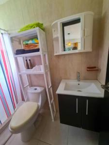 Palo GrandeFront Beach apartment的浴室配有白色卫生间和盥洗盆。