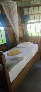 蓬塔戈尔达Sun Creek Lodge的一间卧室设有两张床和窗户。