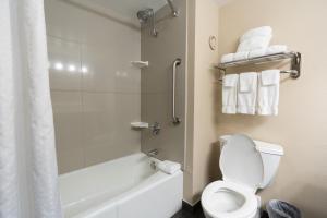 博伊西博伊西城中心智选假日酒店的一间带卫生间、浴缸和淋浴的浴室