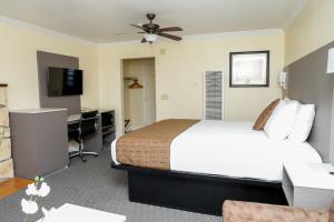圣西米恩银色冲浪汽车旅馆的配有一张床和一张书桌的酒店客房