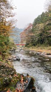 饭能市川辺-KAWABE-BBQ-川遊び-fishing的一条河,河底有岩石和火车