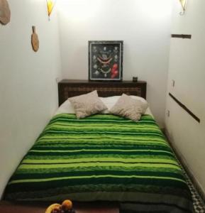 非斯Hostel riad Dar lala sofia的一间卧室配有一张带绿毯的床