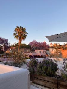 圣米格尔-德阿连德Casa Árbol Hotel的享有花园的景色,花园内种植了棕榈树,设有卡车