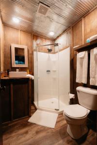 布兰森Treehouse Cozy Glamping Site的带淋浴和卫生间的浴室