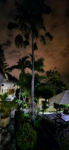努沙杜瓦安靖别墅酒店的一群棕榈树在度假村的夜晚