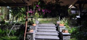 努沙杜瓦安靖别墅酒店的花园里有盆栽的楼梯