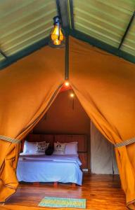 Eco Wild Glamping Bambarakanda的帐篷内的一张床位,上面有一只猫