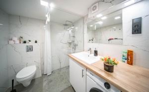 布达佩斯Free parking Basilica Rob's Home - AC, Wi-Fi, smart TV的白色的浴室设有卫生间和水槽。