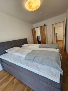 因斯布鲁克Stylish Apartment in Innsbruck + 1 parking spot的一间卧室,卧室内配有一张大床