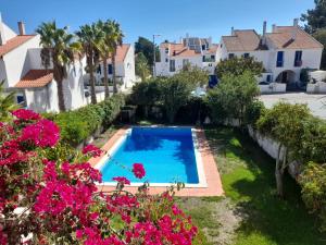 帕尔梅拉Villa Arrábida的一座游泳池,位于一个拥有粉红色花卉的庭院内