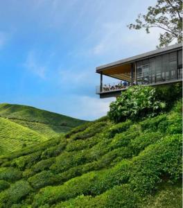 金马仑高原Serene Muji Family Cottage(2-7pax) & Sunrise View的绿色山顶上的房子