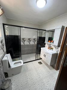 瓦迪穆萨Petra balcony apartment的一间带卫生间和水槽的浴室