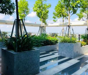 海阳Apec Mandala hotel & suites Hải dương的一对种有树木和植物的混凝土种植园