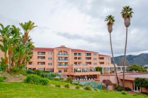 阿维拉海滩Hilton Vacation Club San Luis Bay Avila Beach的前面有棕榈树的酒店