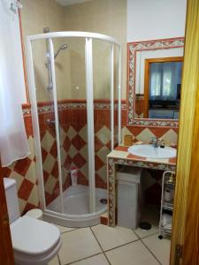 马拉加Paraje El Pozo的带淋浴、卫生间和盥洗盆的浴室