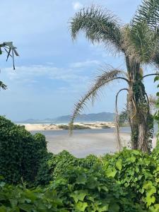 瓜尔达恩巴Guarda Flats的棕榈树和海洋的背景