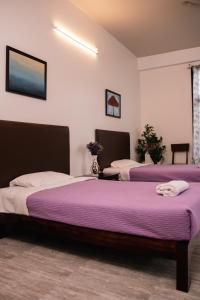 KohīmaAkim Homestay的紫色床单的客房内的两张床