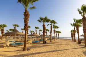赫尔格达Amwaj Beach Club Abu Soma的棕榈树和遮阳伞的海滩和海洋