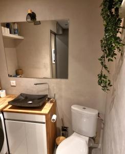 蓬塔穆松st Laurent cocon的浴室设有白色的卫生间和镜子