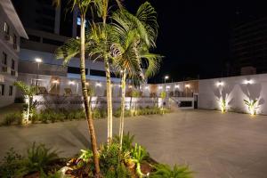 伊瓜苏Safa Hotel Foz的棕榈树在晚上在建筑物前