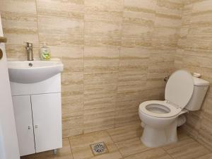 雅西VIV Rosetti的一间带卫生间和水槽的浴室