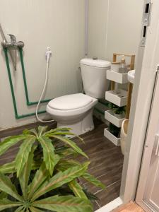 欧拉Five caravan的一间带卫生间和植物的浴室