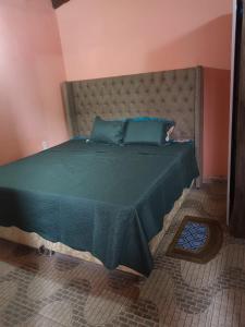 LuqueHospedaje Confortable en Luque的一间卧室配有一张带绿色棉被的大床