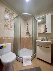 布克维Sadyba u Halyny的带淋浴、卫生间和盥洗盆的浴室