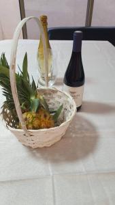 佩塔提克瓦מקום מקסים בפתח תקווה的装有植物和一瓶葡萄酒的篮子